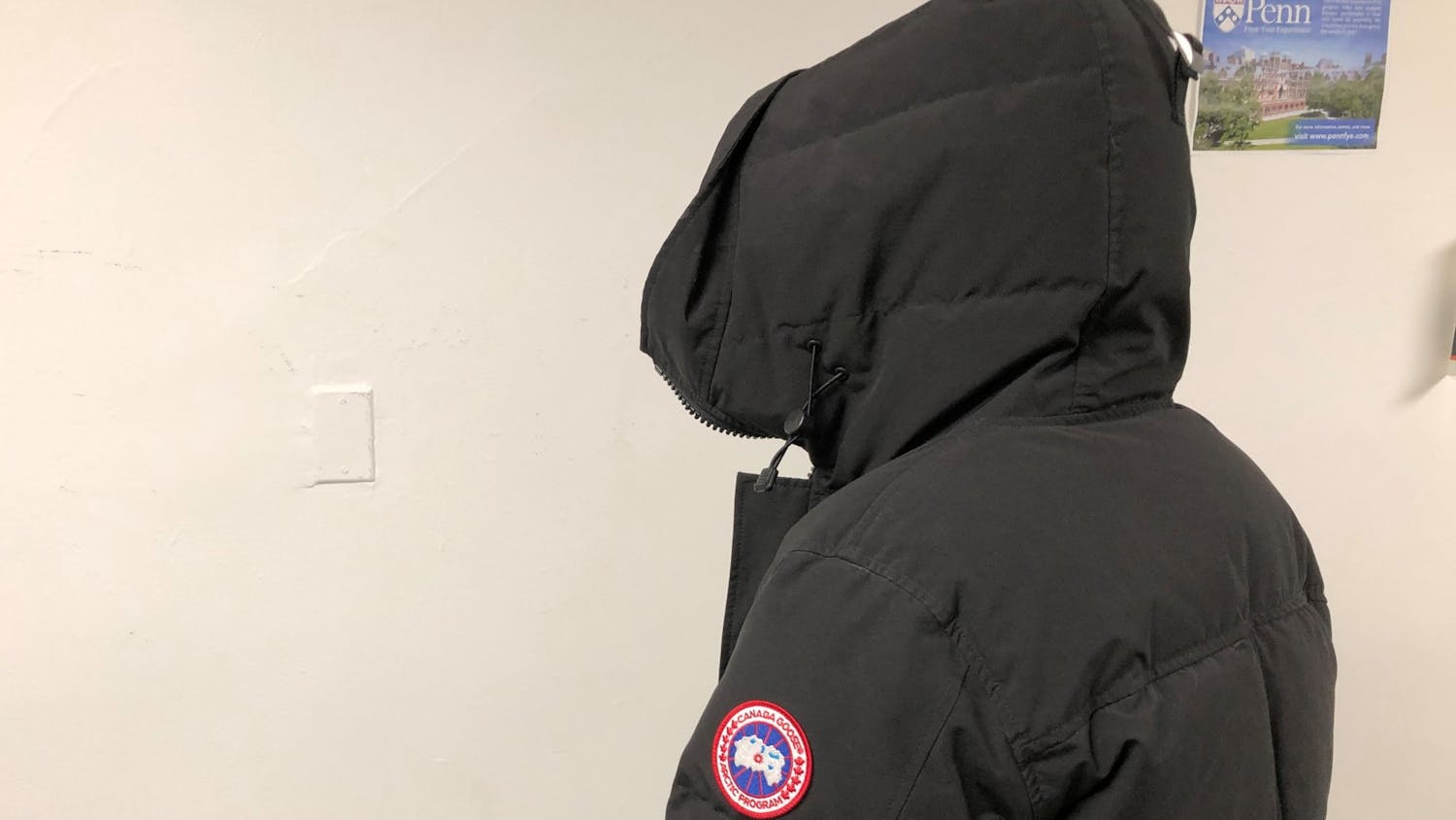 Canada_Goose (2).jpg