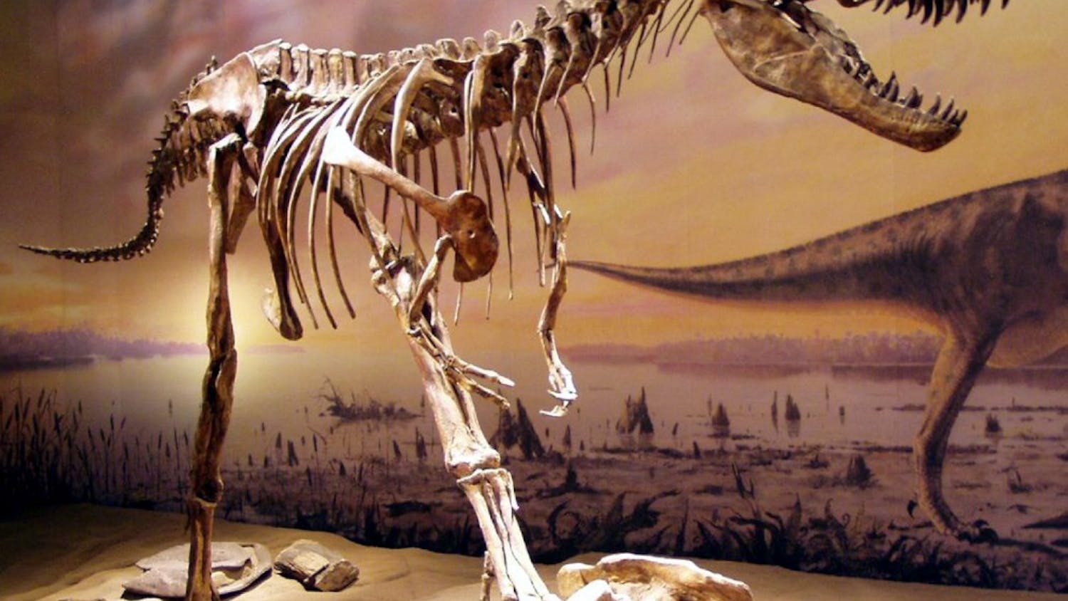 Photo by Sebastian Bergmann / CC BY-SA 2.0