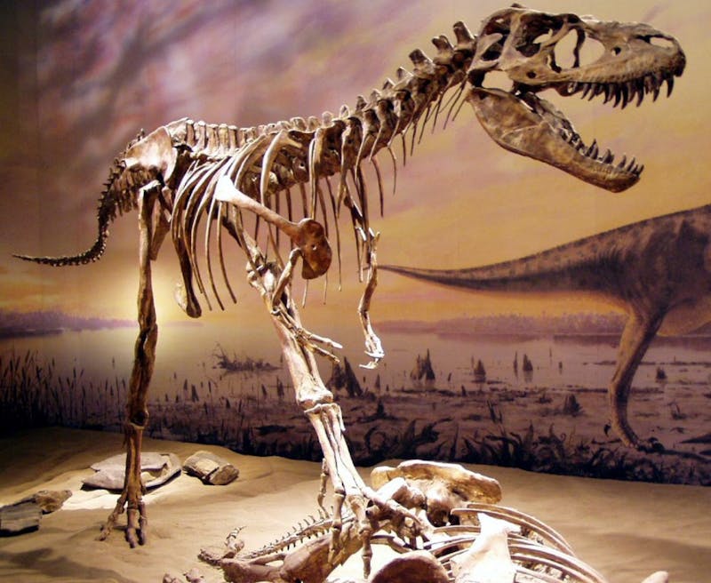 Fossil Free Penn Occupies Penn Museum, Will Not Leave Until All Dinosaur Skeletons Are Removed