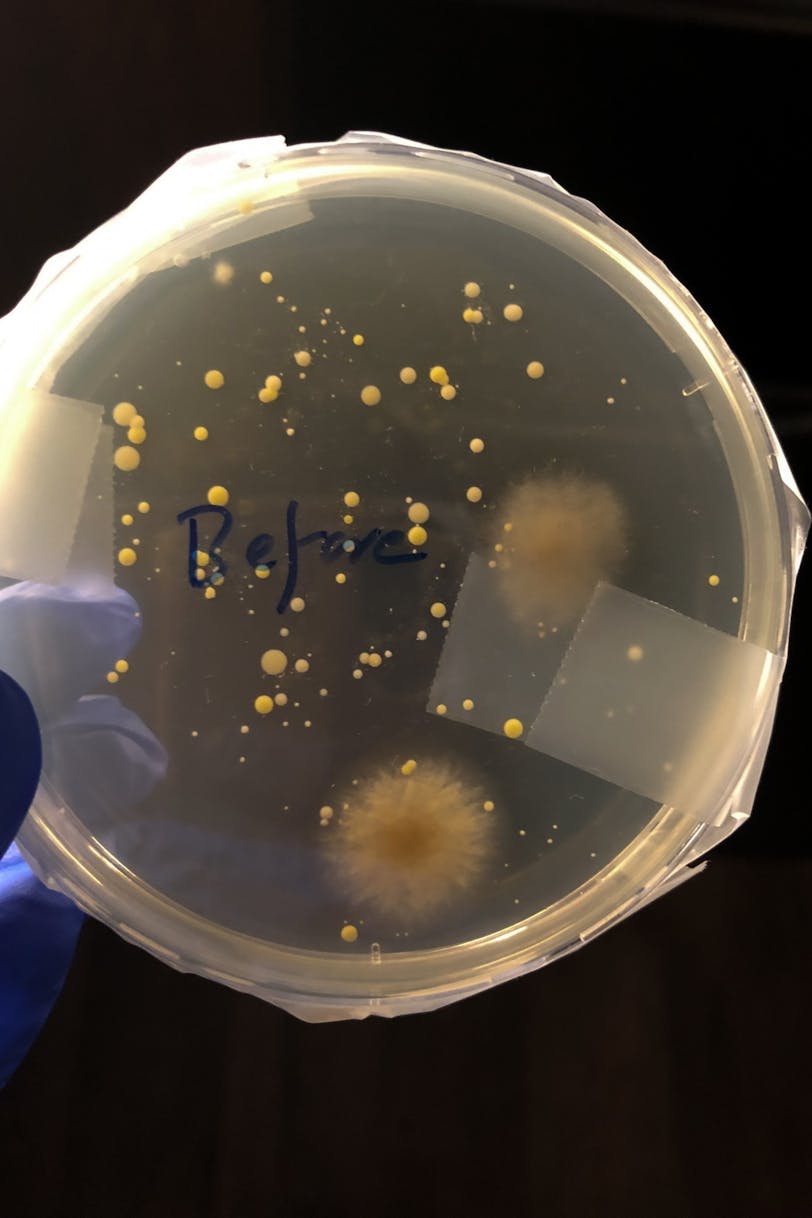 Biology 102 Microbial Group Assignment Unsanitized Hand.jpg