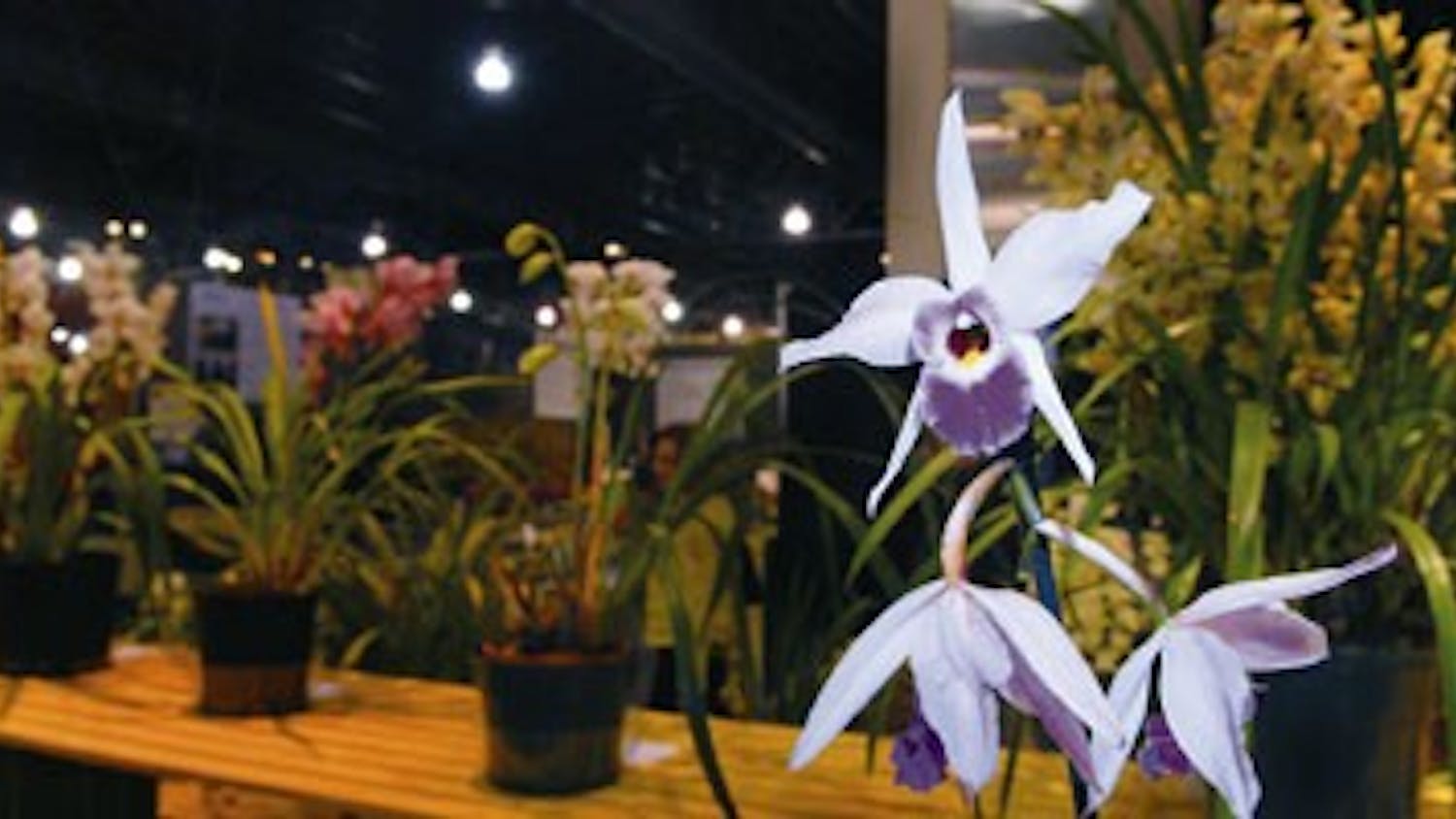 Philadelphia Flower Show | Photo slideshow