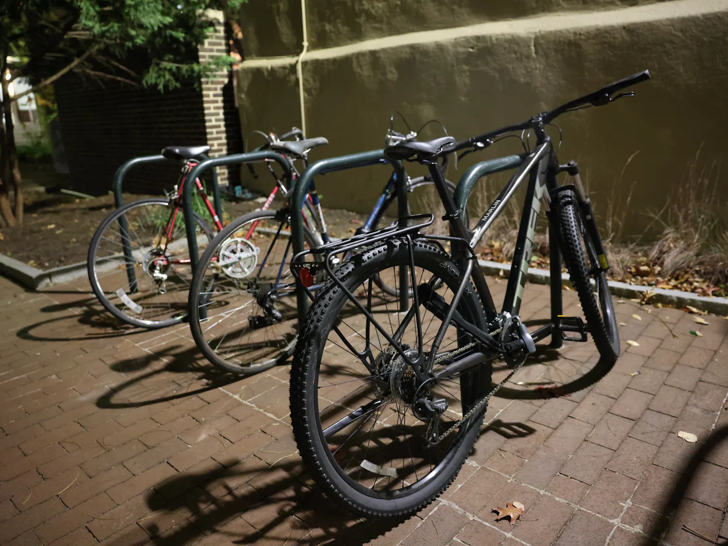 11-13-24 Bikes (Jean Park).jpg