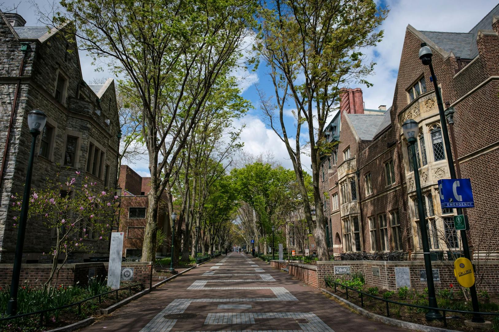 April 2020 Empty Campus Locust Walk (Son Nguyen).jpg