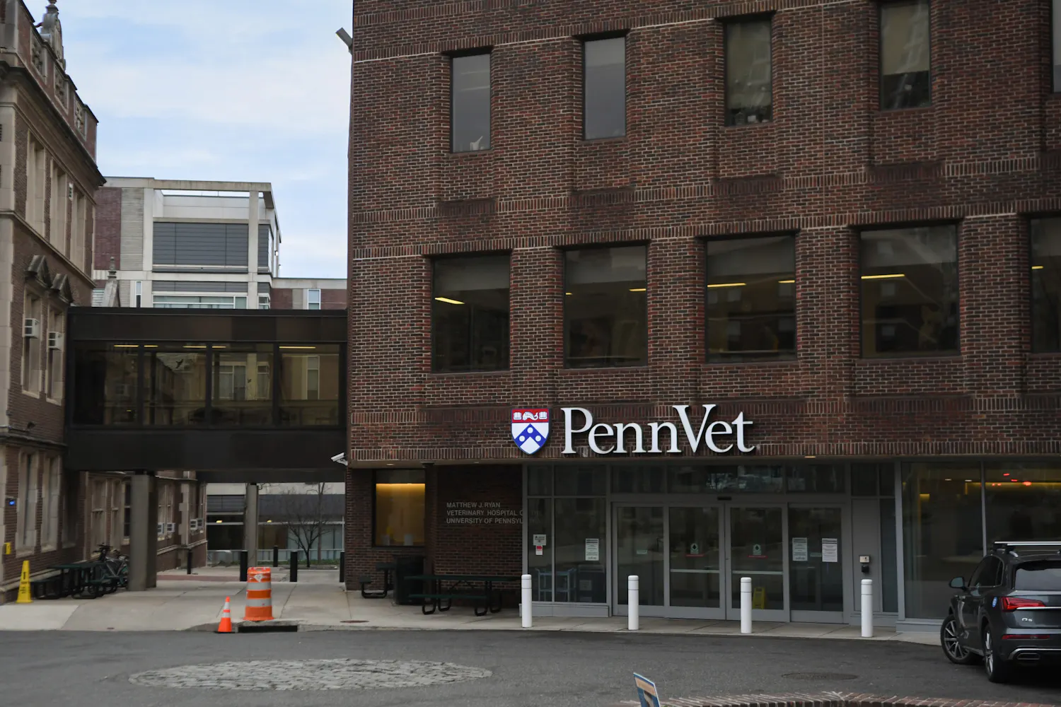 02-11-24 Penn Vet (Carly Zhao).jpg