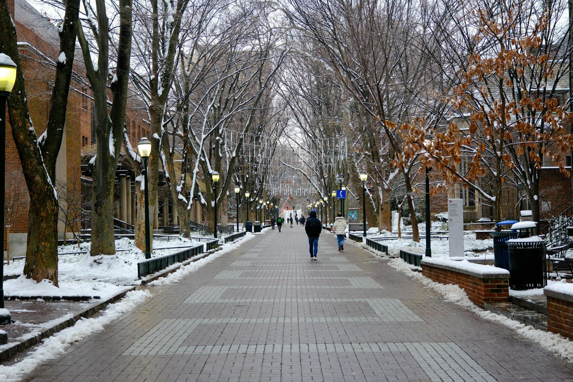 01-16-23 Snow at Penn (Abhiram Juvvadi)-08.jpg