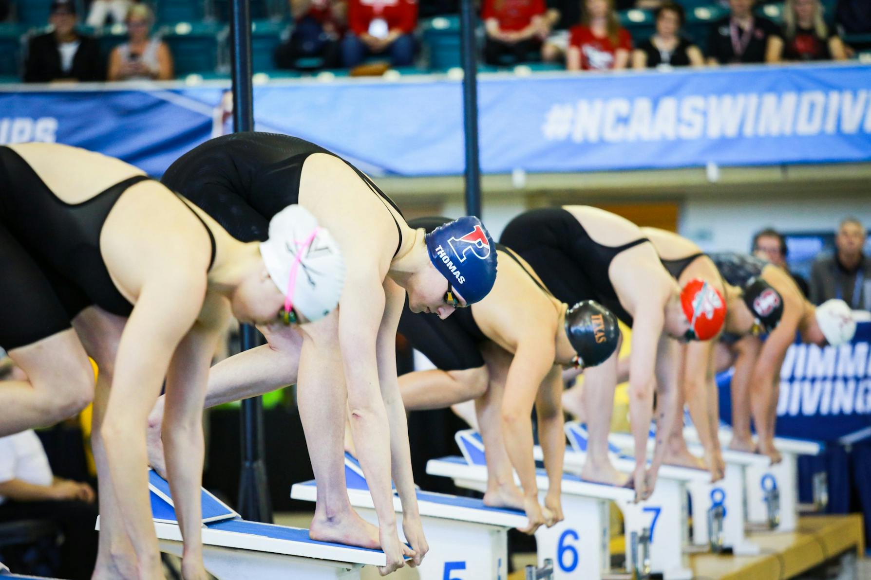 03-17-22 NCAA Women's Swimming and Diving Championship Lia Thomas (Jesse Zhang)-26.jpg