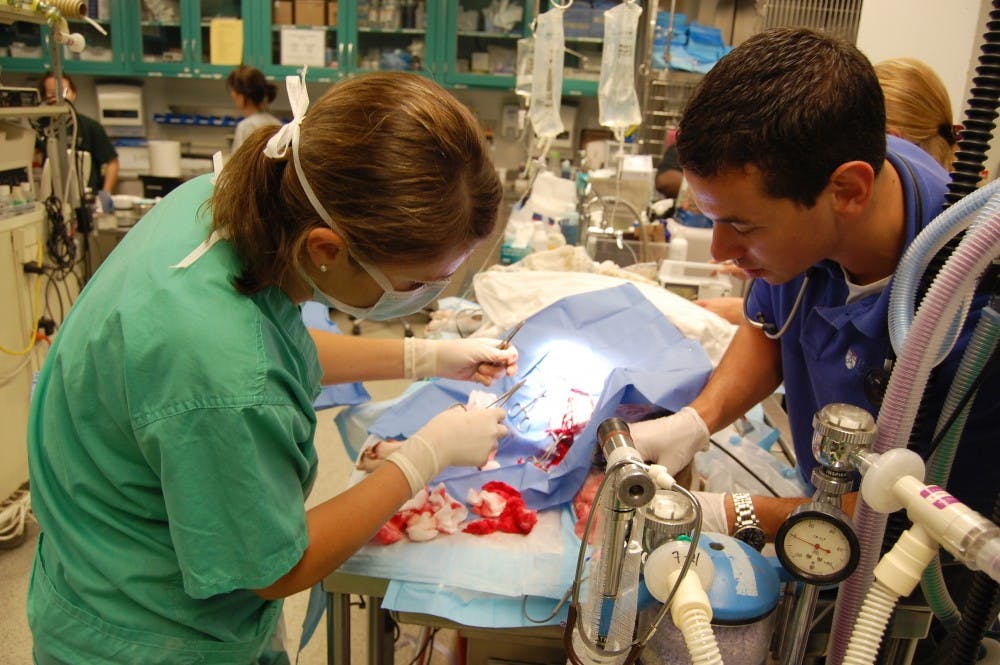 	Employees from Penn’s School of Veterinary Medicine conduct emergency care on a patient. The school was recently awarded a national designation as a Veterinary Trauma Center.