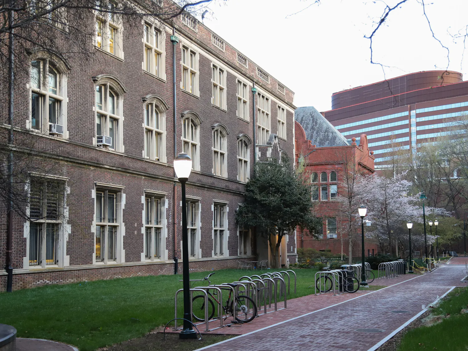 04-01-26 Campus Photowalk (Connie Zhao).jpg