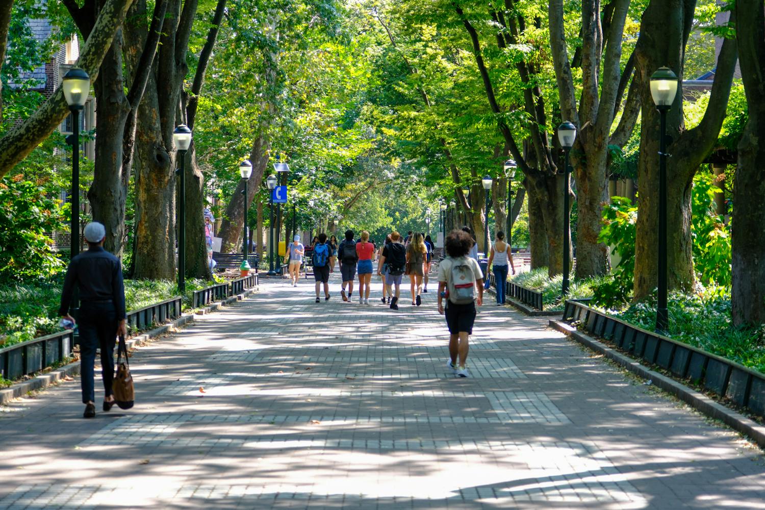 09-04-23 Locust Walk (Abhiram Juvvadi).jpg