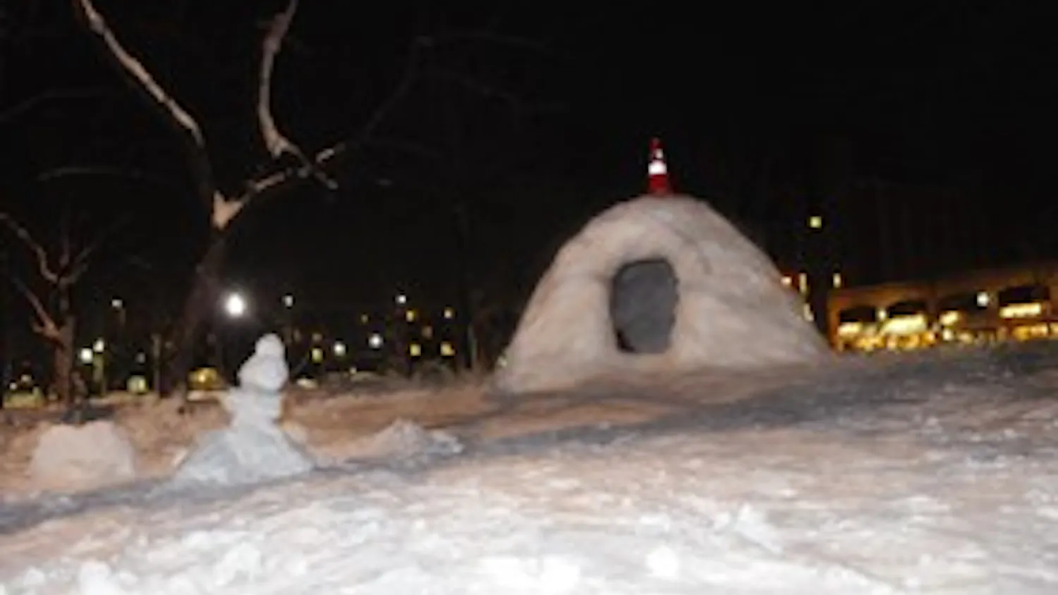 Students sled down Locust, build igloos