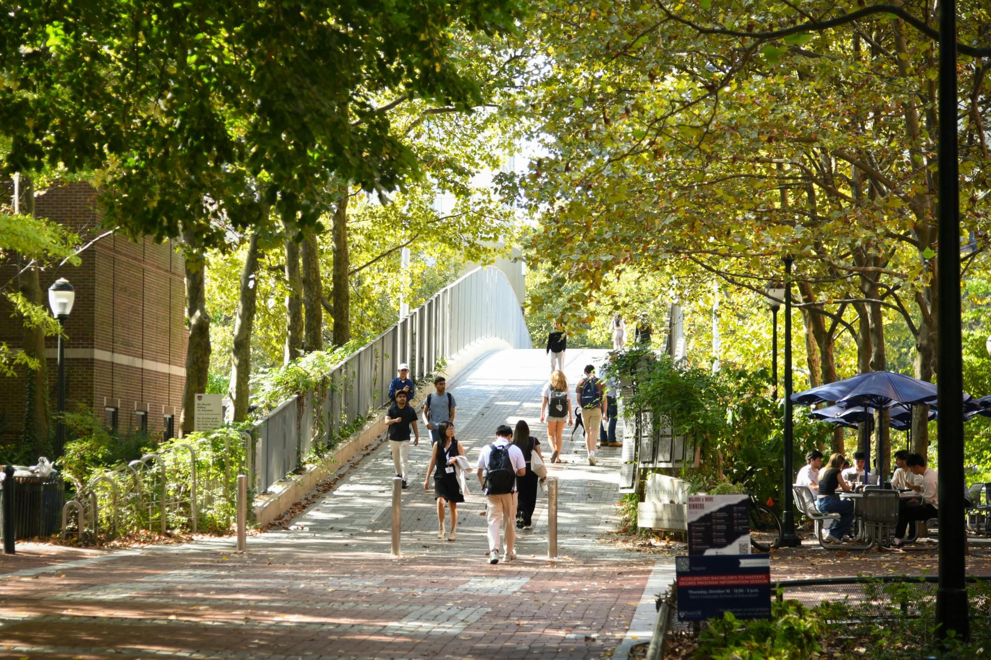 10-07-24 Locust Walk (Chenyao Liu).jpg
