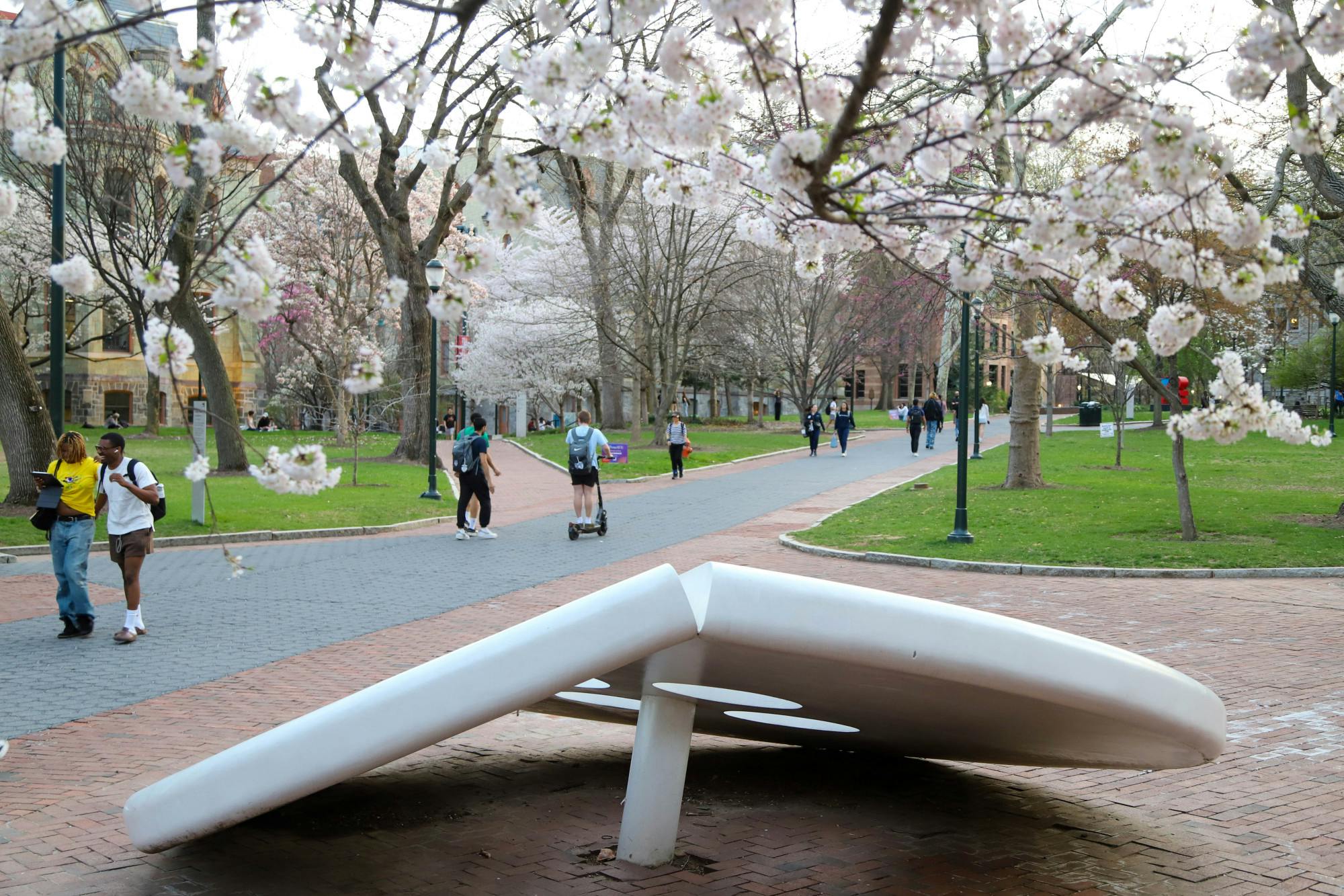 04-01-26 Campus photowalk (Connie Zhao)-1.jpg