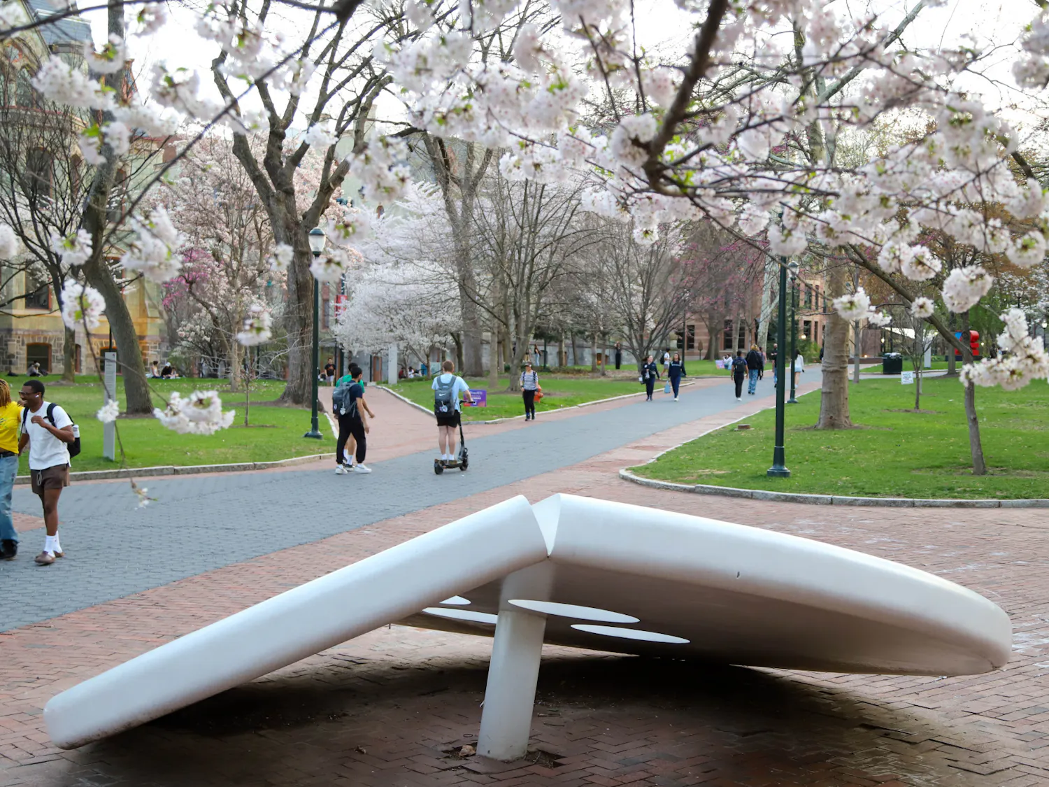 04-01-26 Campus photowalk (Connie Zhao)-1.jpg