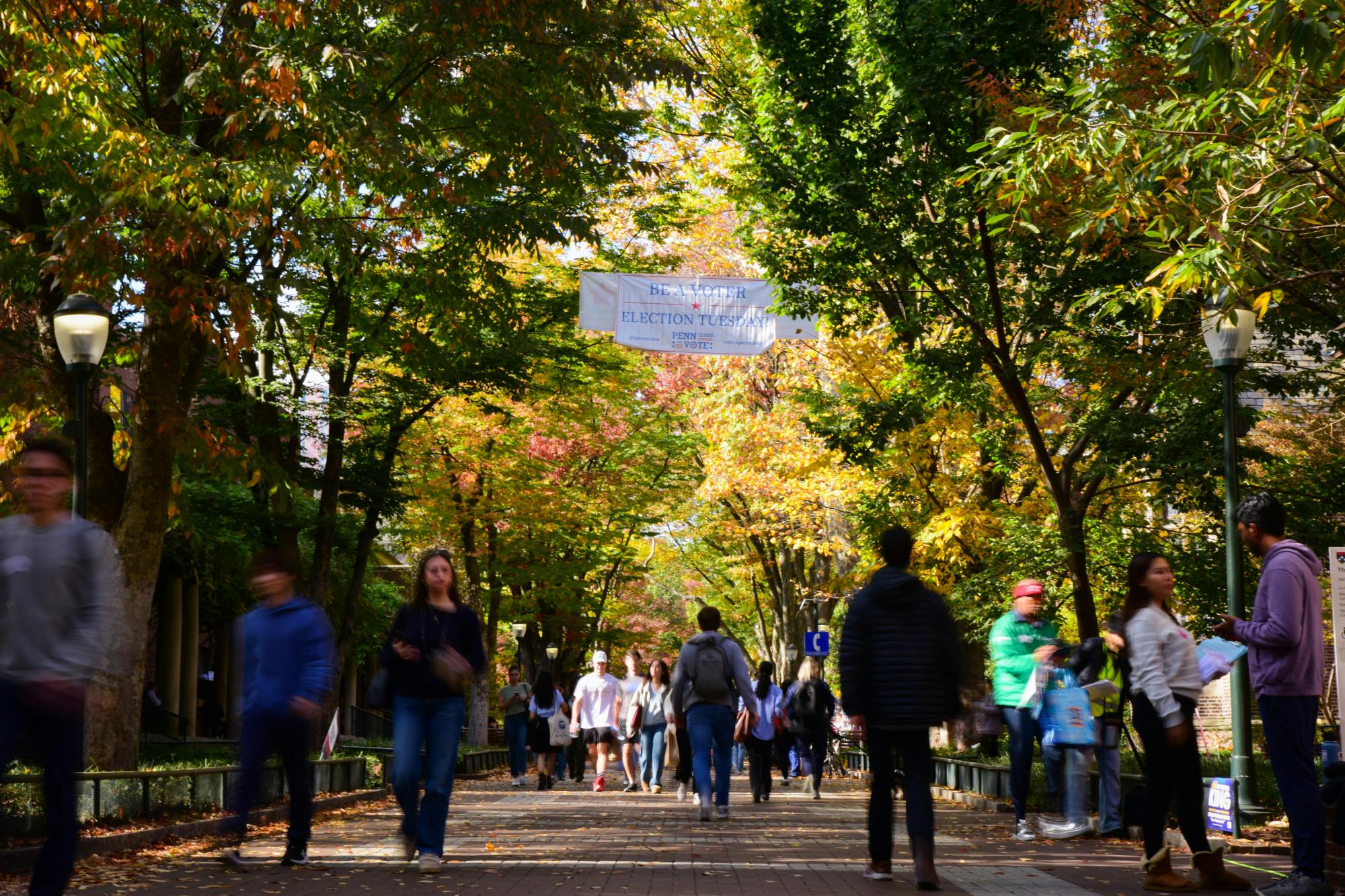 11-05-24 Locust Walk (Chenyao Liu).jpg