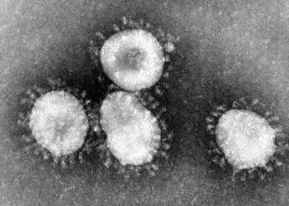 coronavirus-cdc