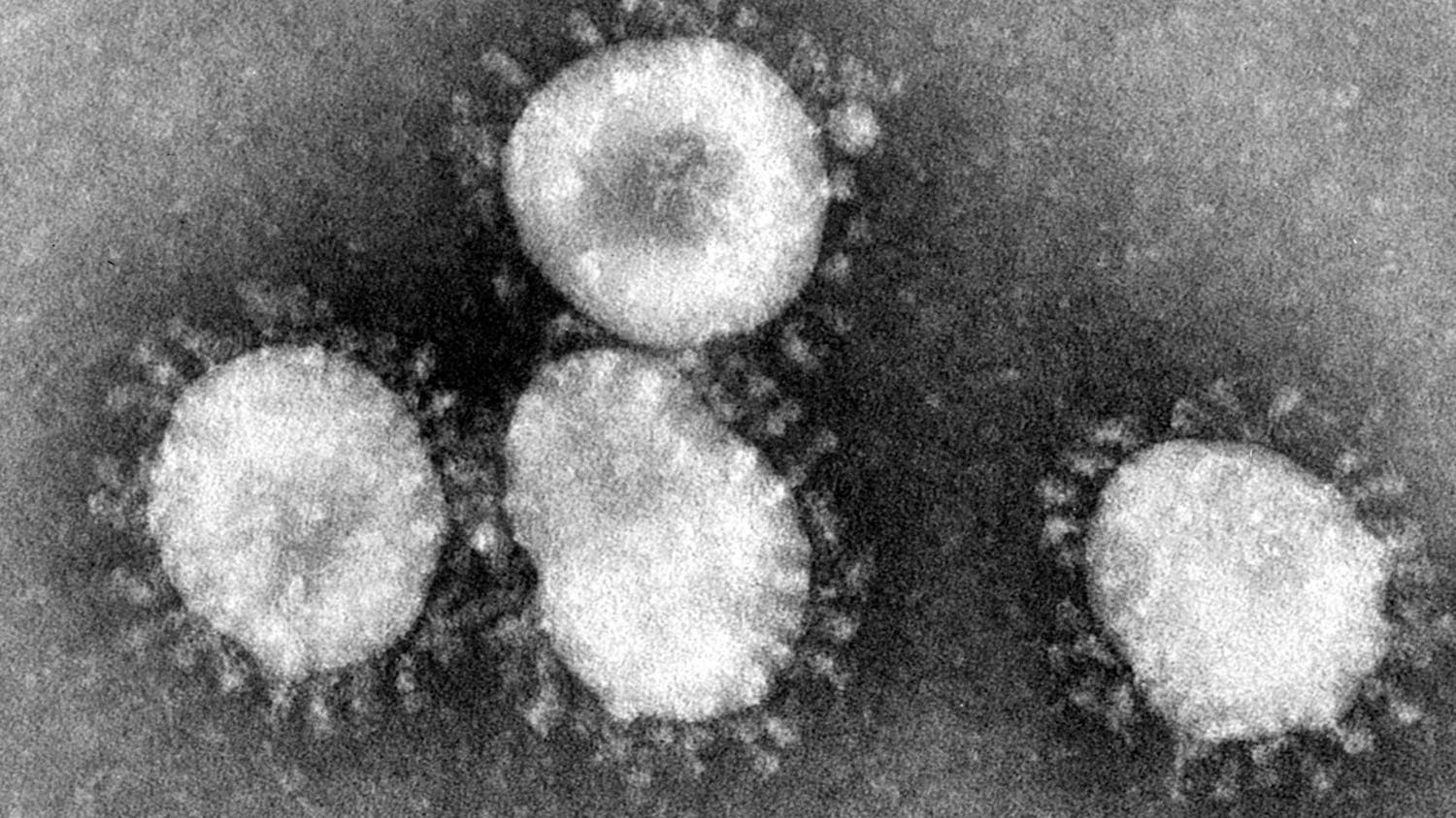 coronavirus cdc.jpg