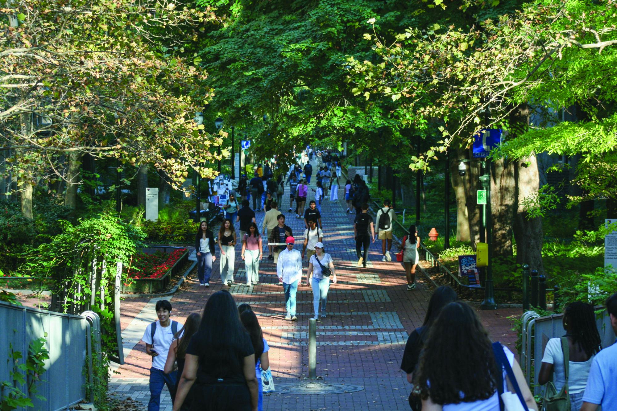 09-28-25 Locust (Hans Bode).jpg