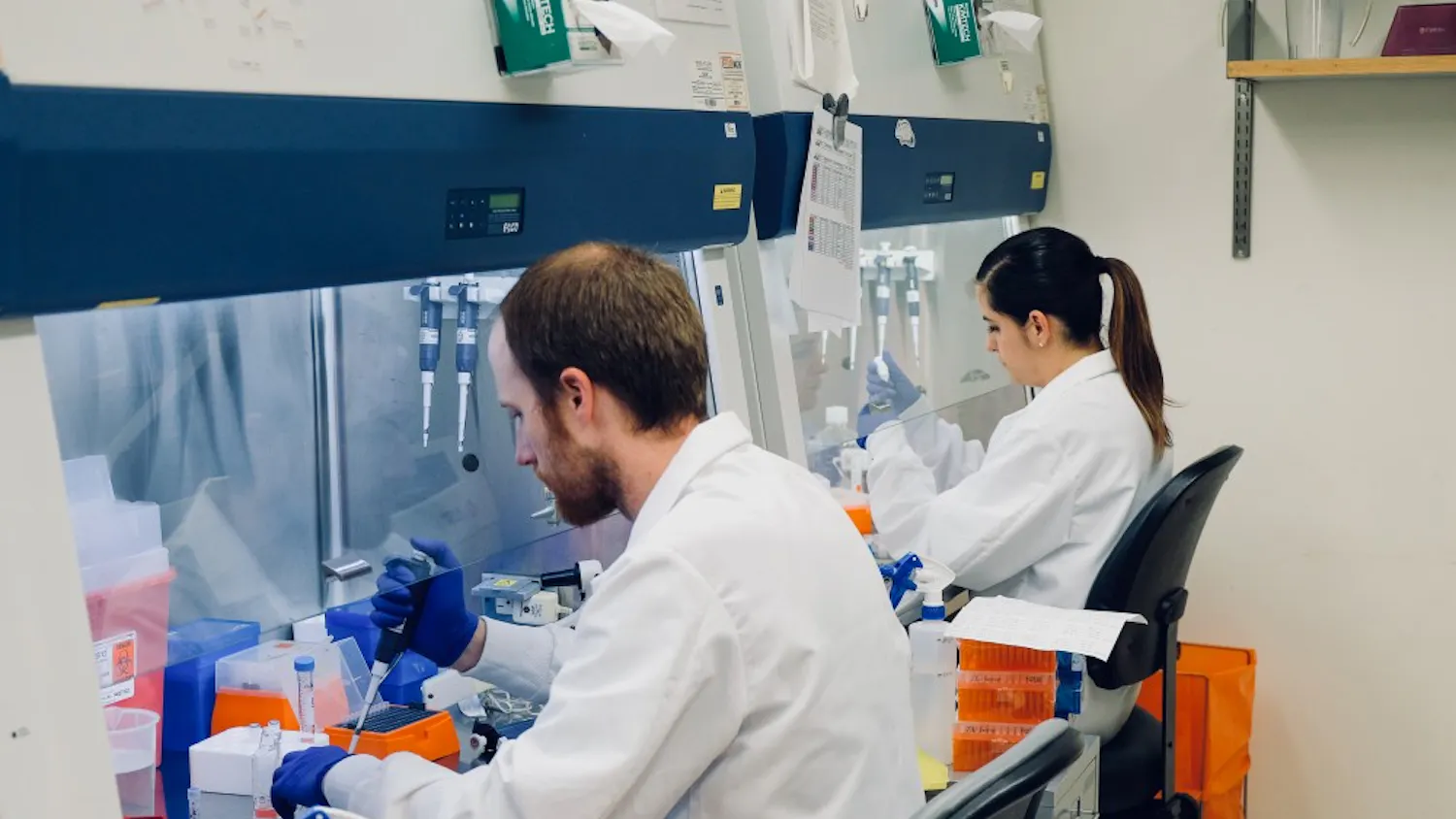 cell research.jpg