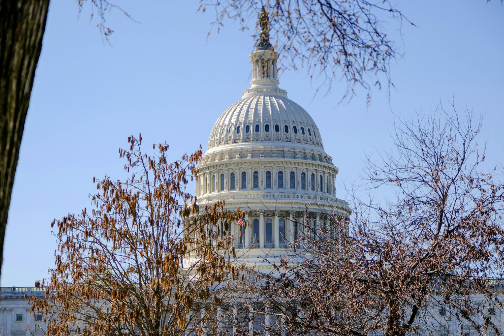 02-29-24 US Capitol (Abhiram Juvvadi)-2.jpg