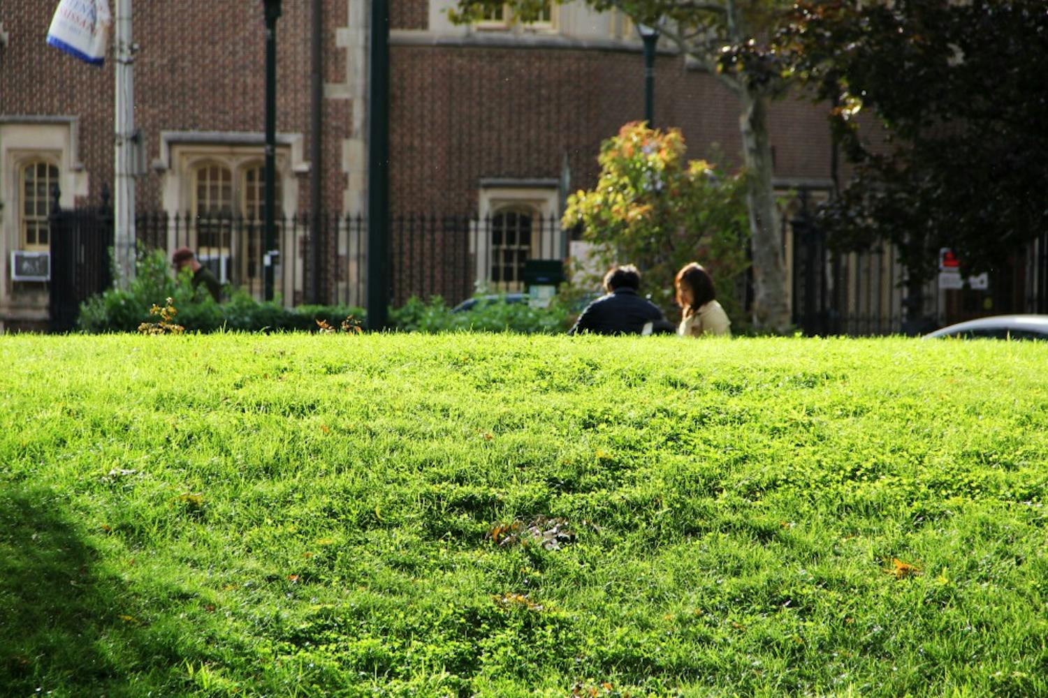 Referred to as "the Beach," the grassy hill between the two buildings that comprise Gregory College House (Van Pelt Manor and Class of 1925) draws people to study and hang out on warm, sunny days.
