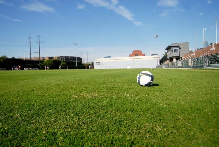 Rhodes scores superior grass