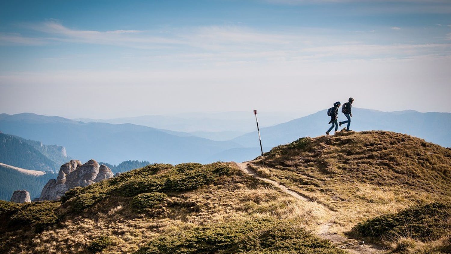 Students entered their summer plans into a Google form and the results were published to the Class of 2019 Facebook group.