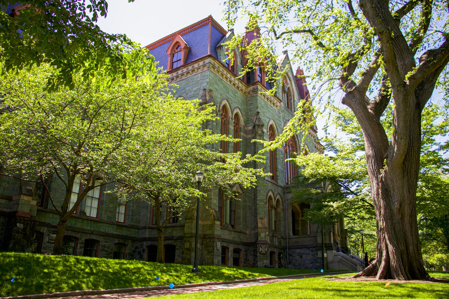05-01-2021 Buildings (Diego Cárdenas Uribe).jpg