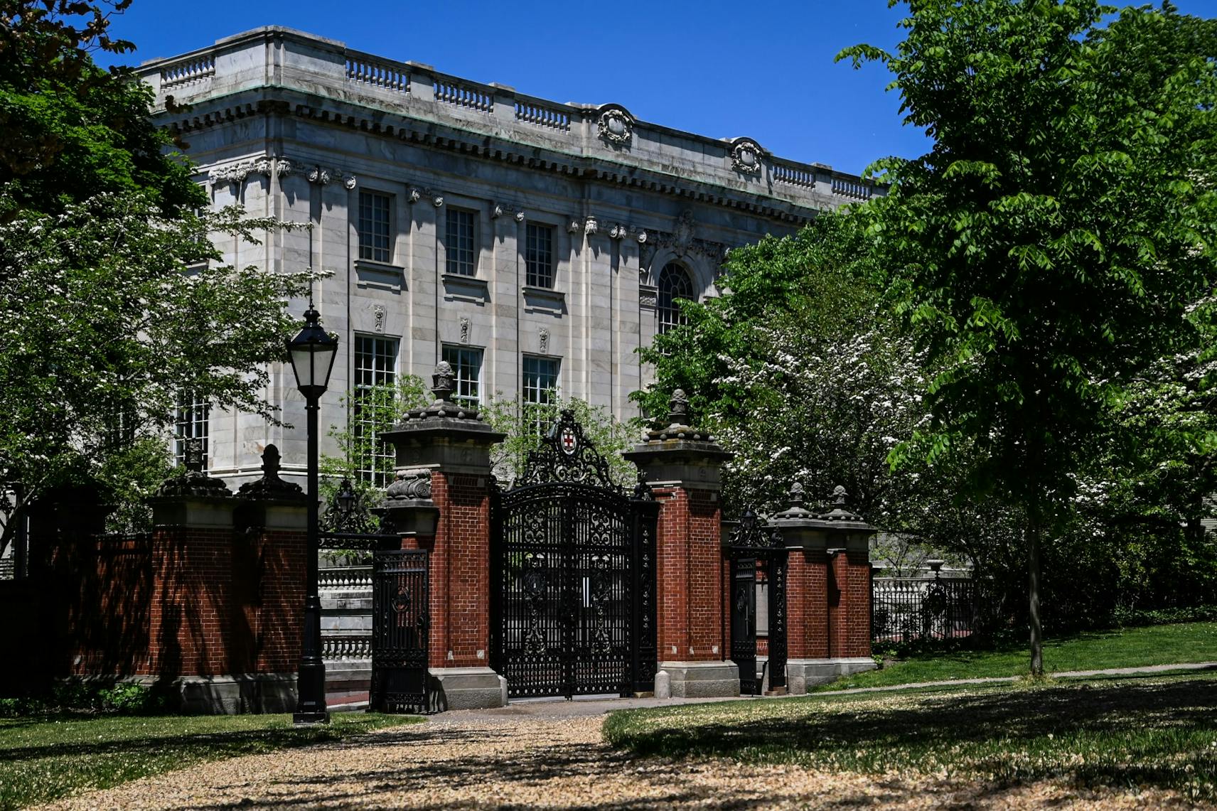Brown University Campus Empty Ivies 001.jpg