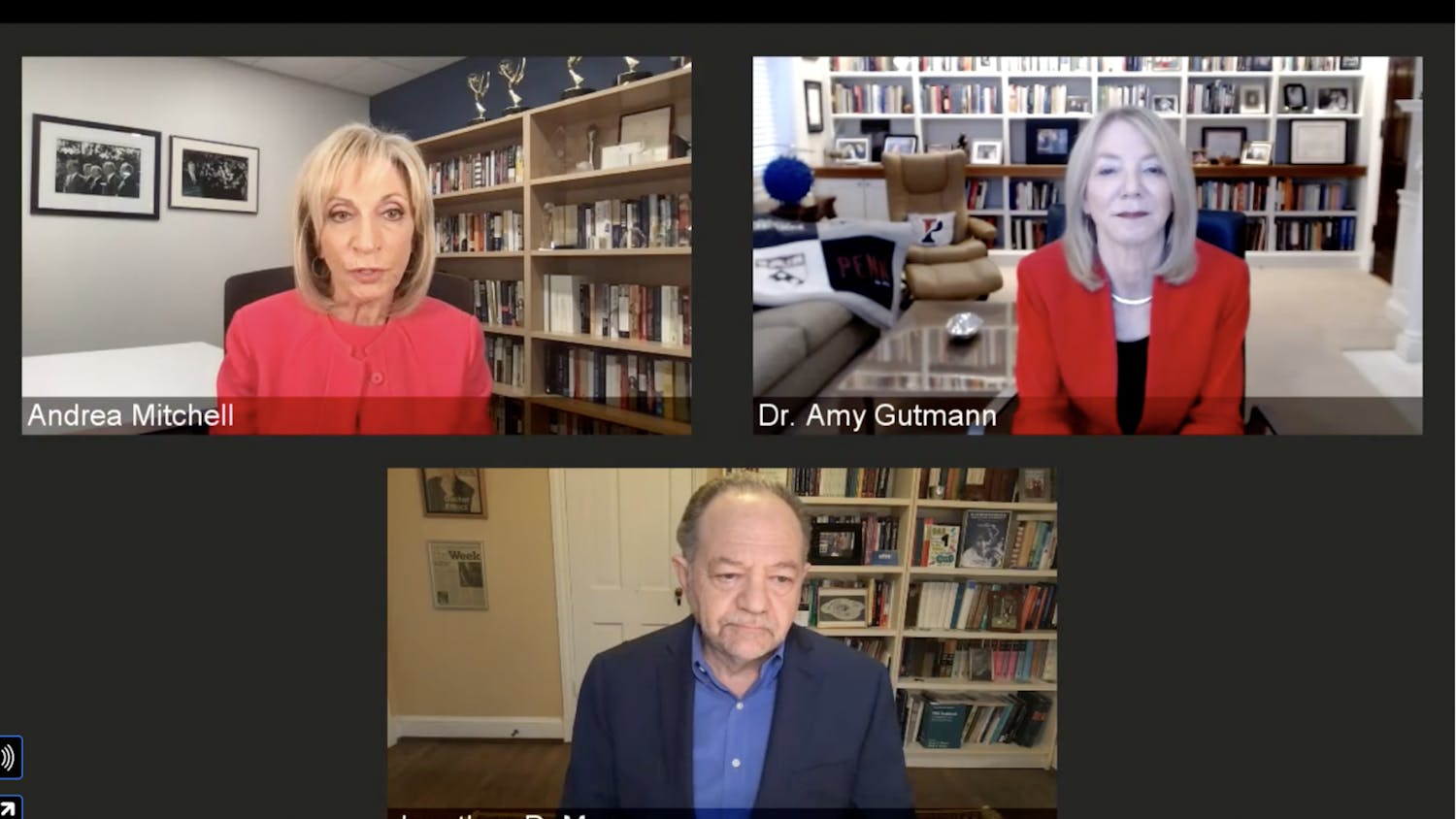 Pandemic Ethics Zoom Screenshot.png