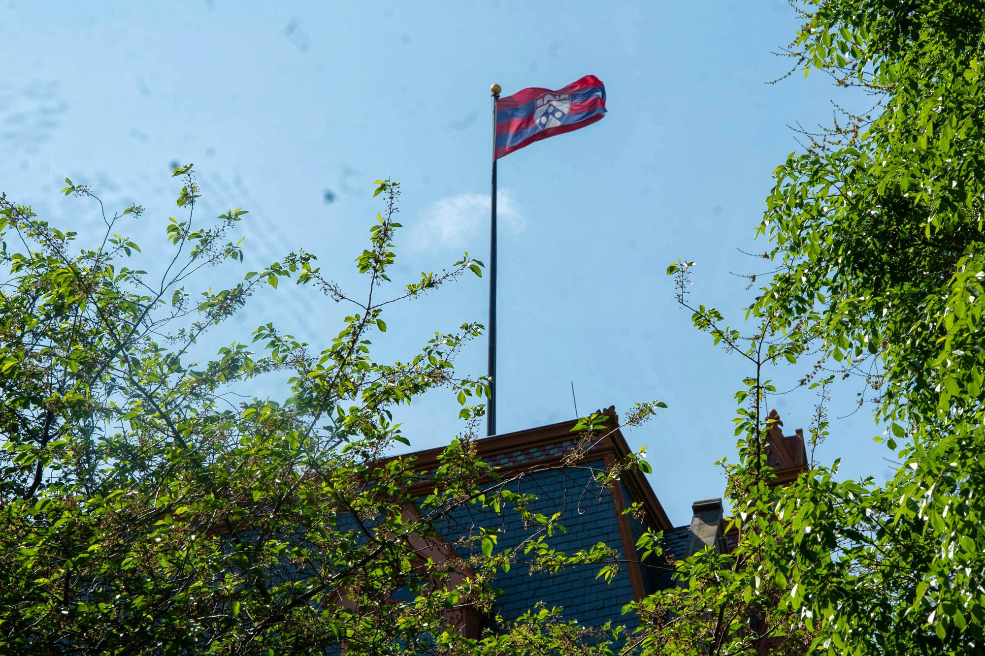 04-15-26 Sunny Campus-Quaker Days (Ebunoluwa Adesida).jpg