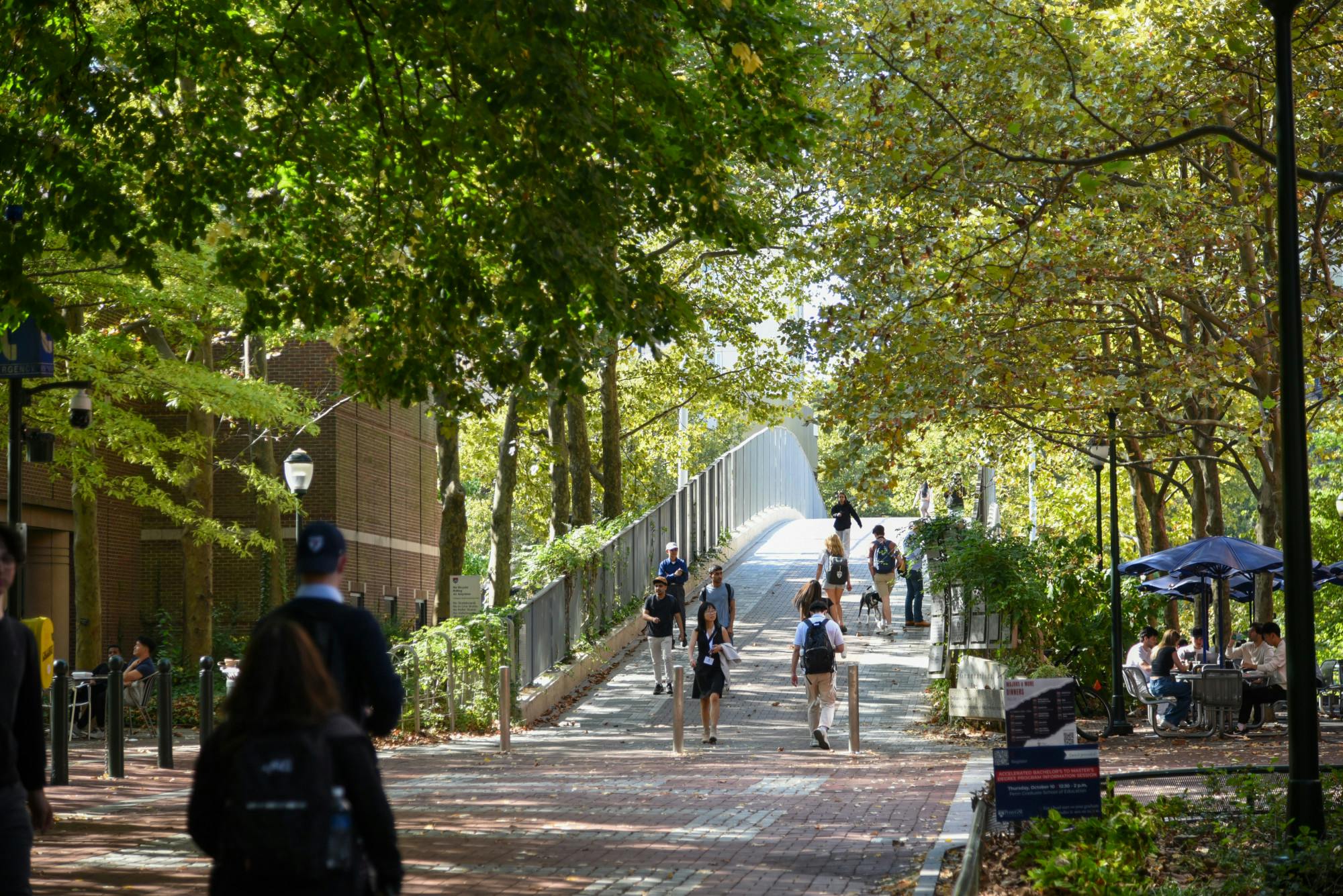 10-07-24 Locust Walk (Chenyao Liu)