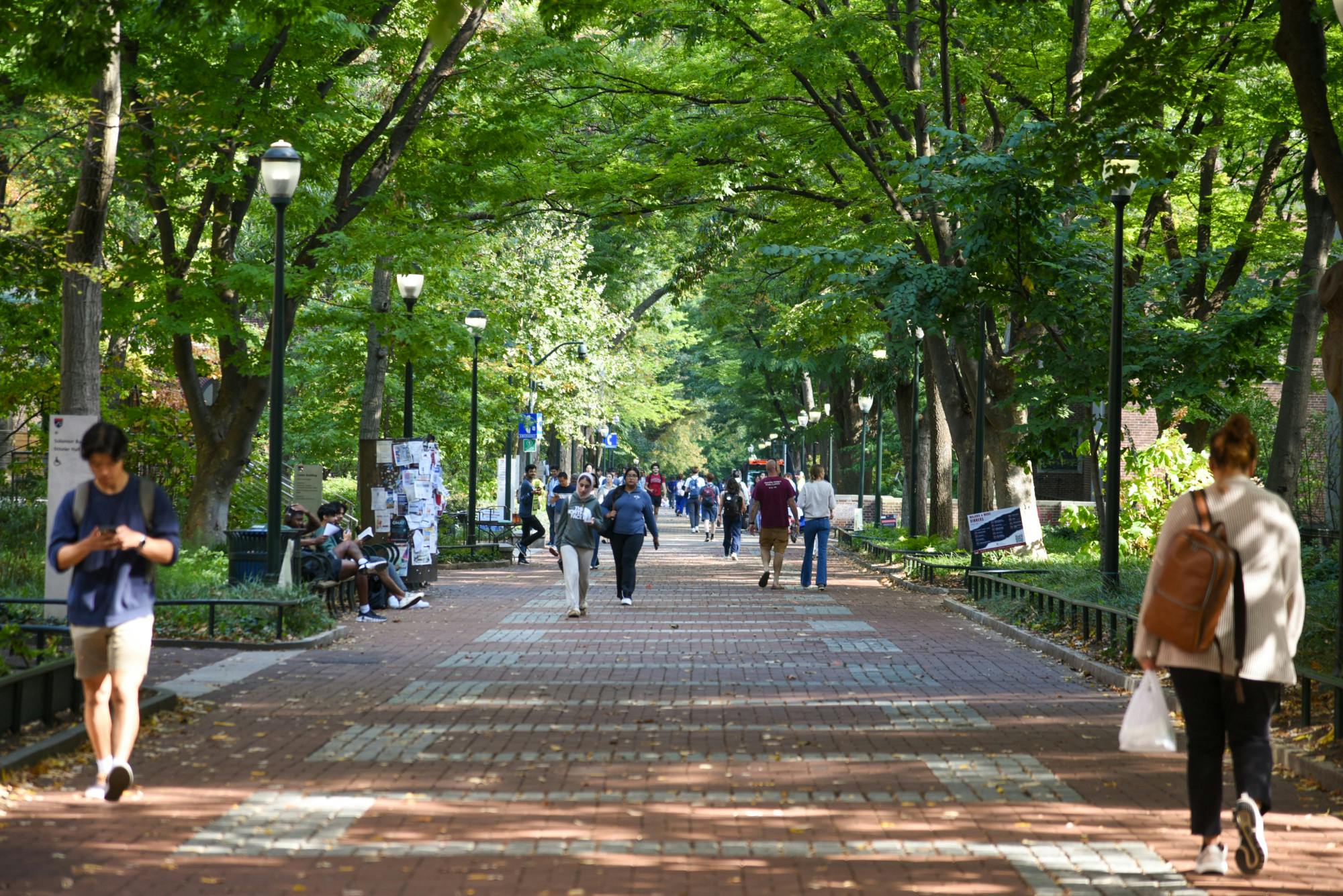 10-07-24 Locust Walk (Chenyao Liu).jpg