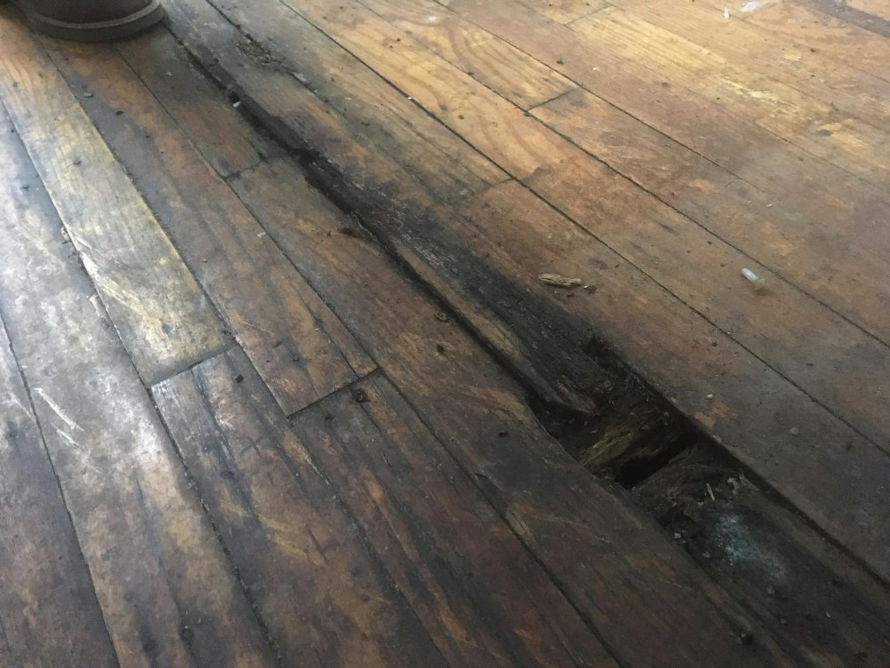 Rotting Floorboards in the Arvilla Apartment