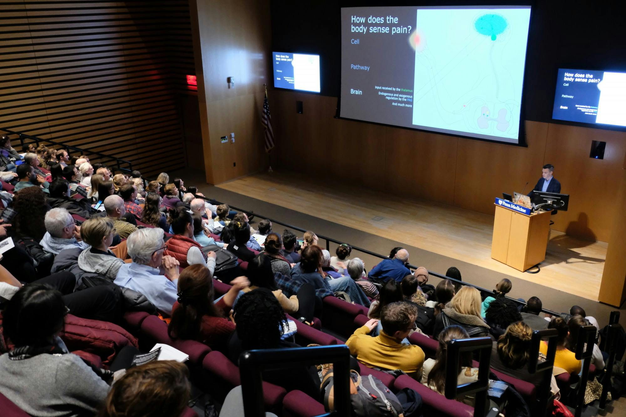 neuroscience of pain event 2.JPG