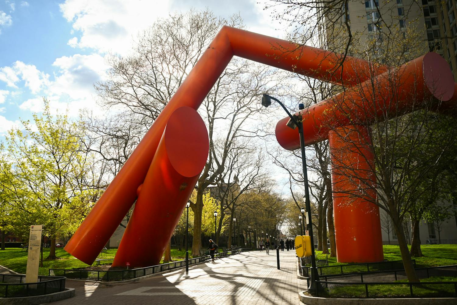 04-13-25 Locust (Chenyao Liu).jpg