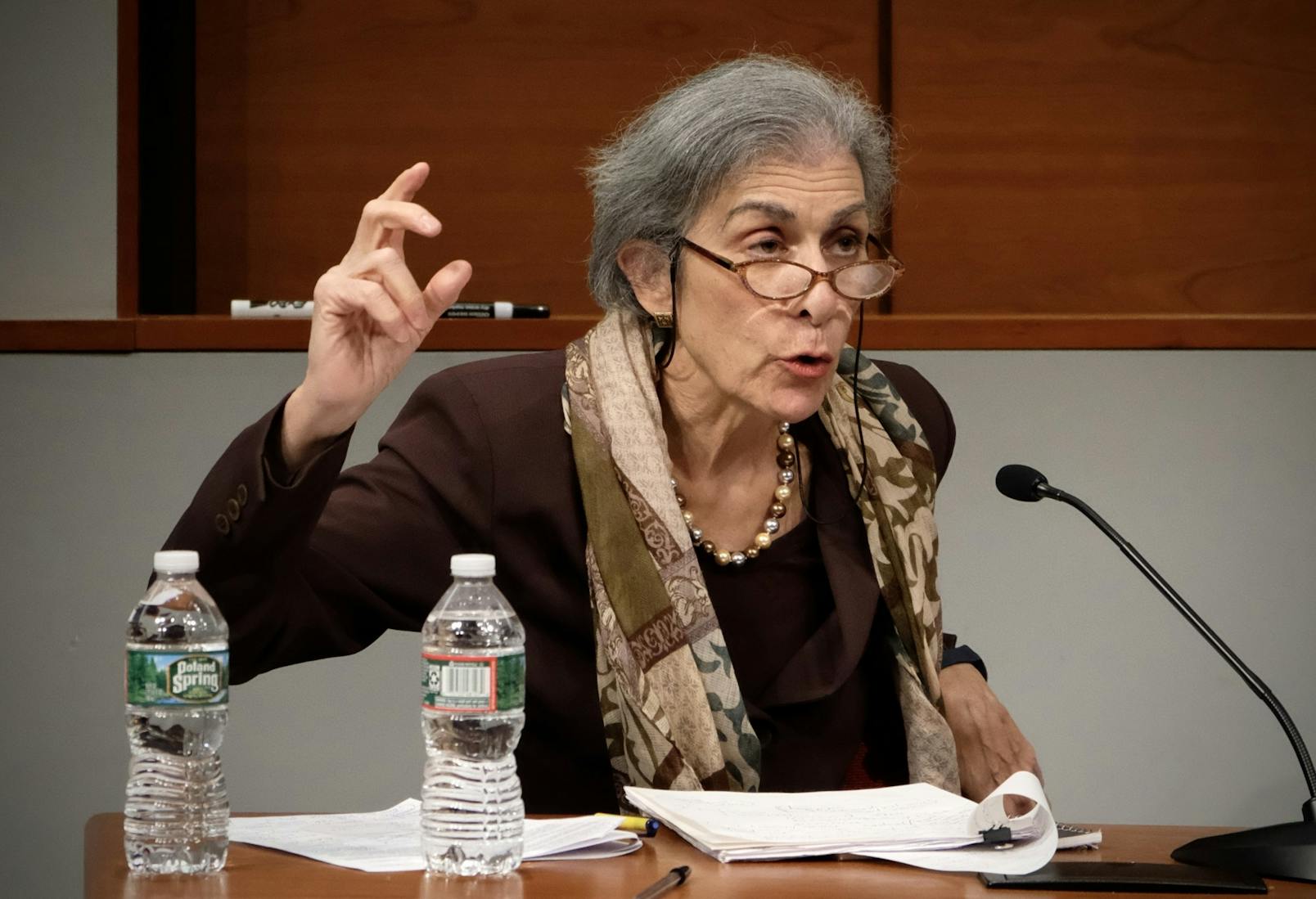 Amy Wax.jpg