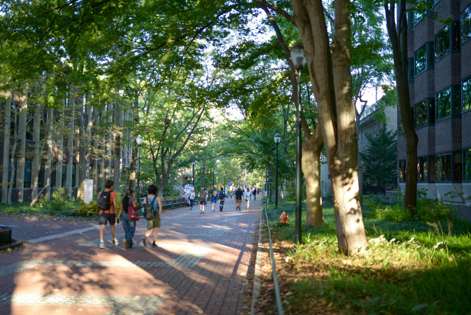 10-5-25 Locust Walk (Layla Nazif).jpg