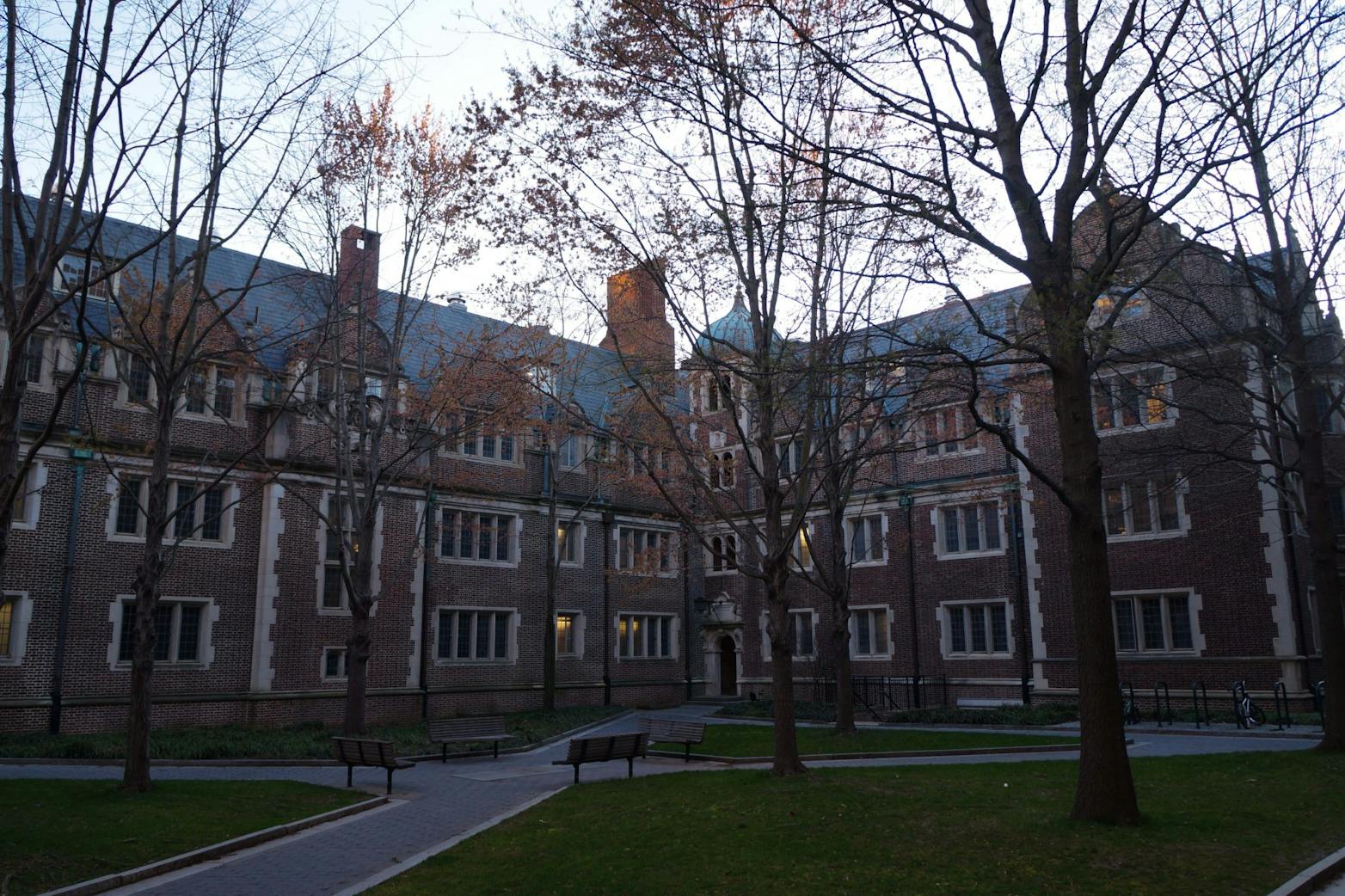 Final Quarantine Photo Essay Andrew Wu Quad.jpg