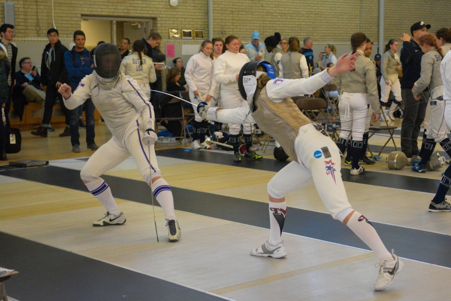 fencing2.jpg