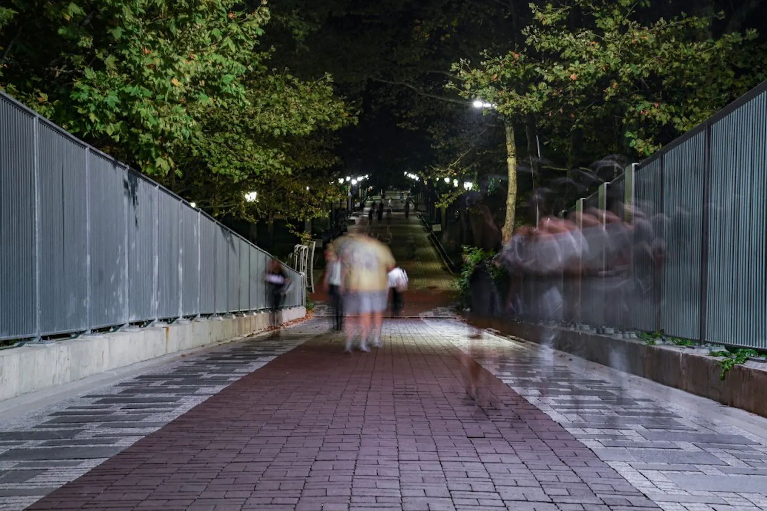 Centerpiece Locust Walk Bridge Night NEW.jpg