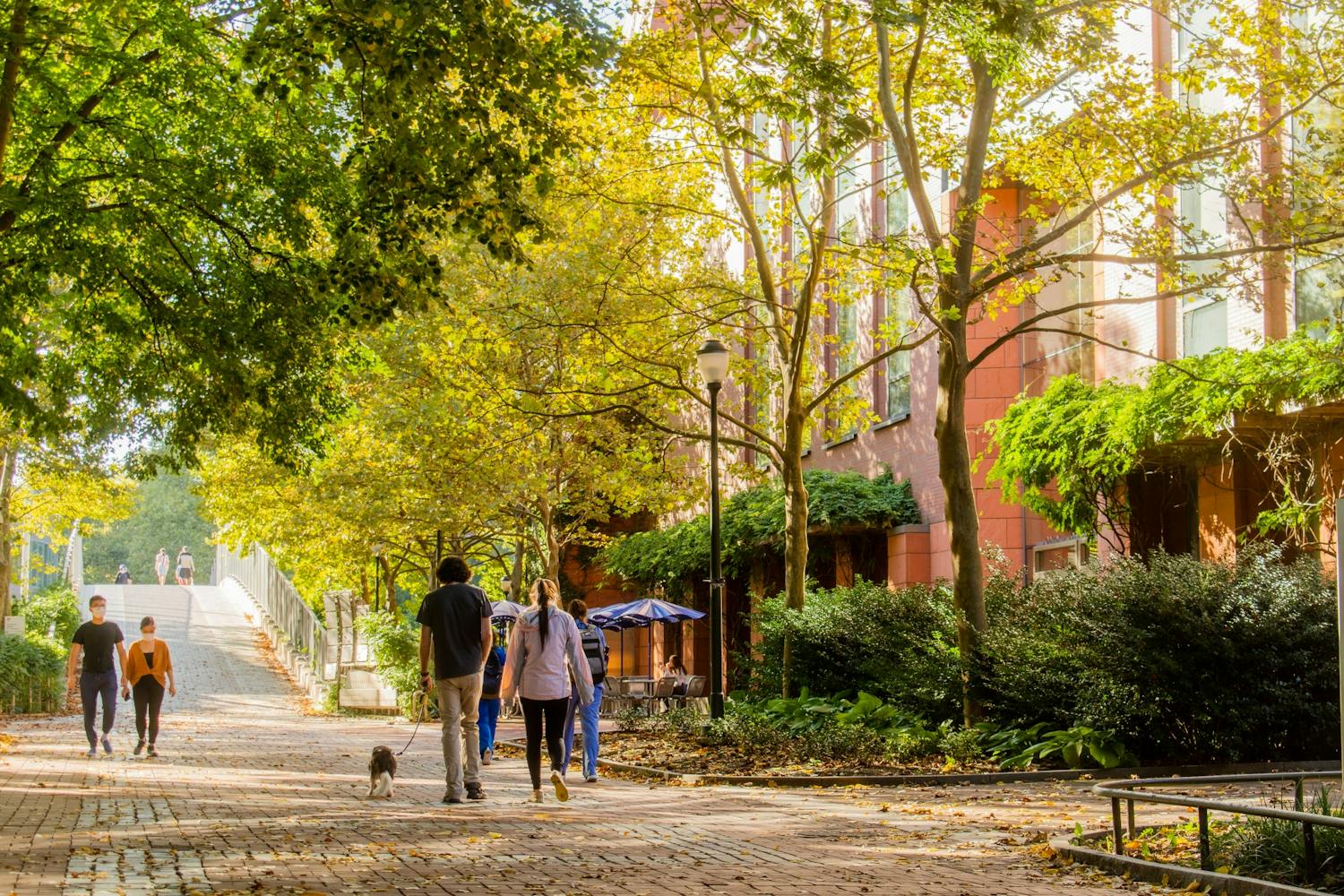 Wharton Huntsman Hall Sunny Locust Walk