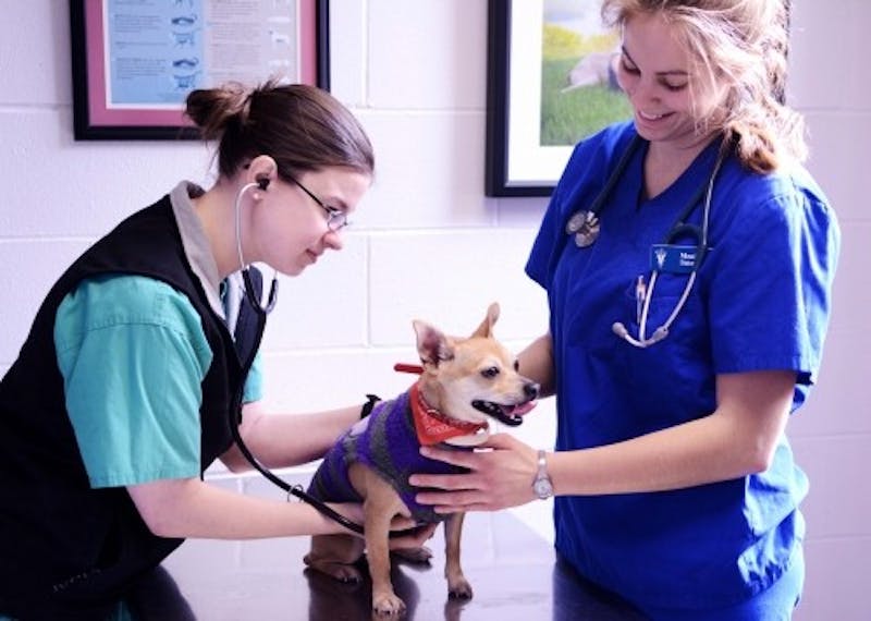 Penn Vet may keep its 30 million in state funding after all The