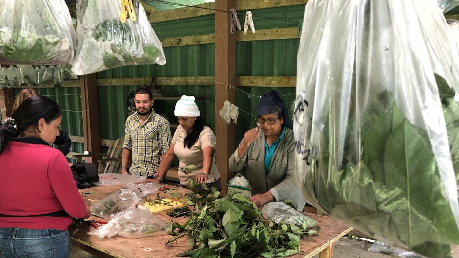 costa rica global seminar