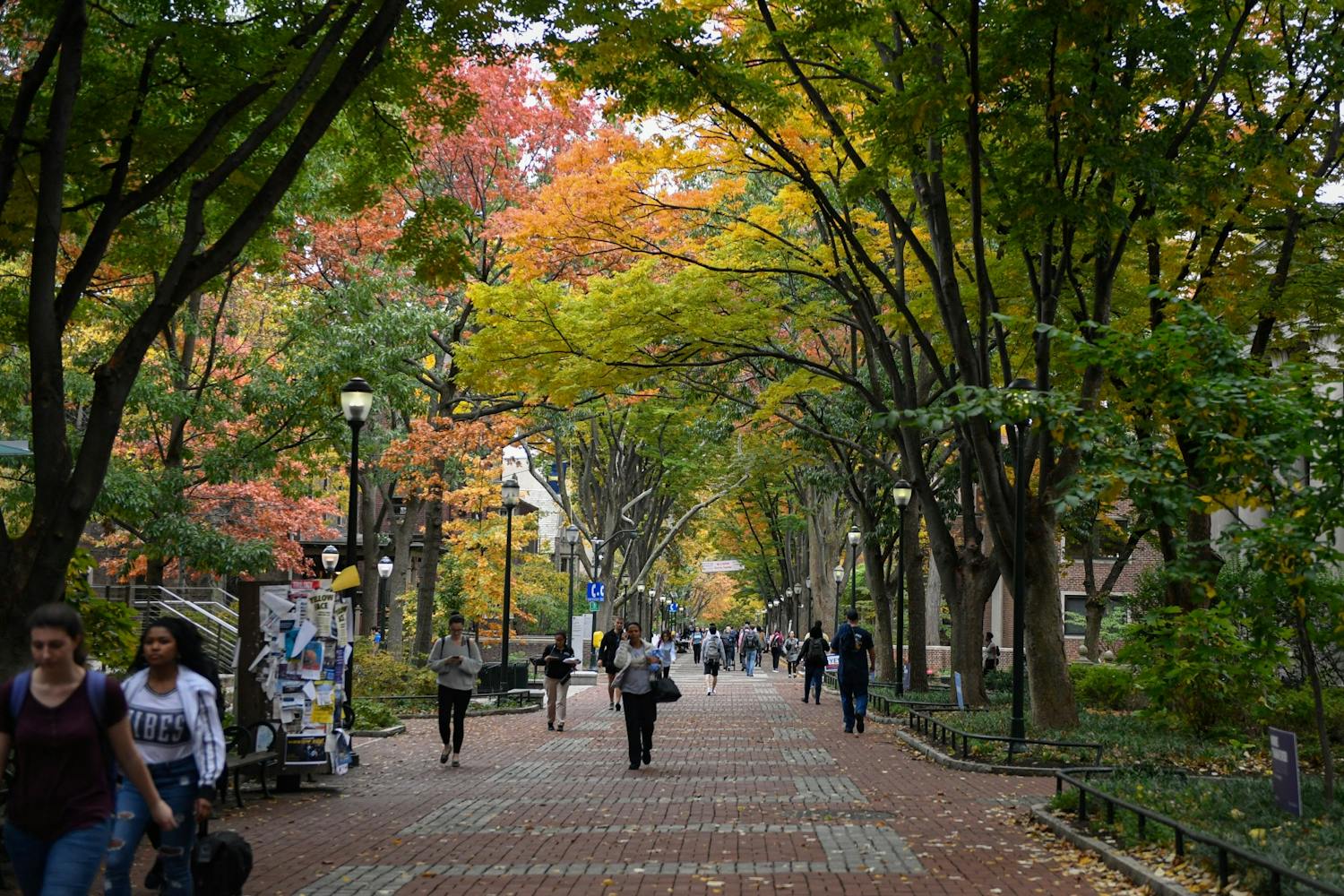 Locust Walk Fall Campus.jpg