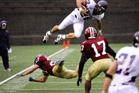 Ivy champs to see more of same