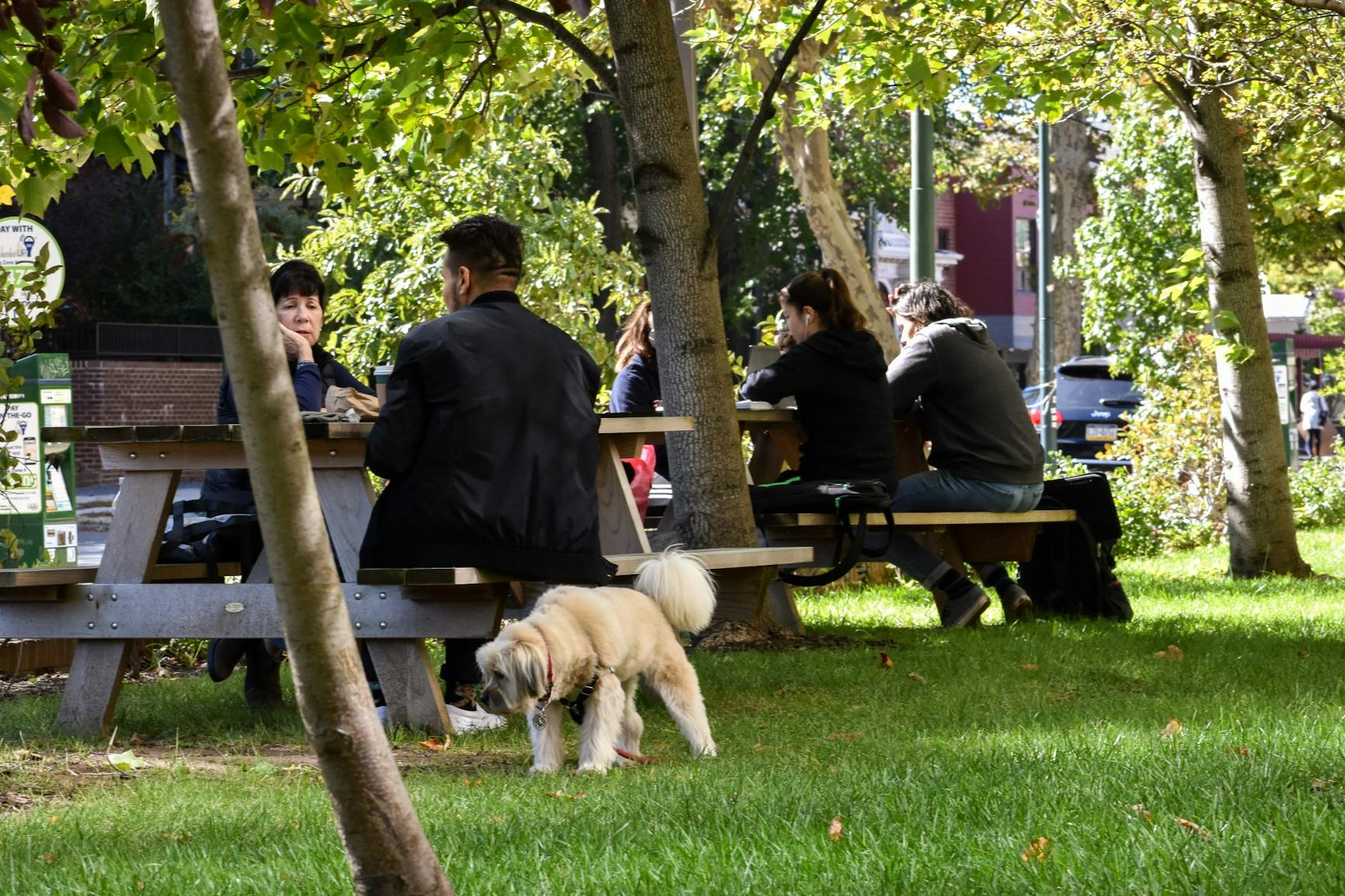 Outdoor Quarantine Study Spots Harrison Picnic Tables.jpg