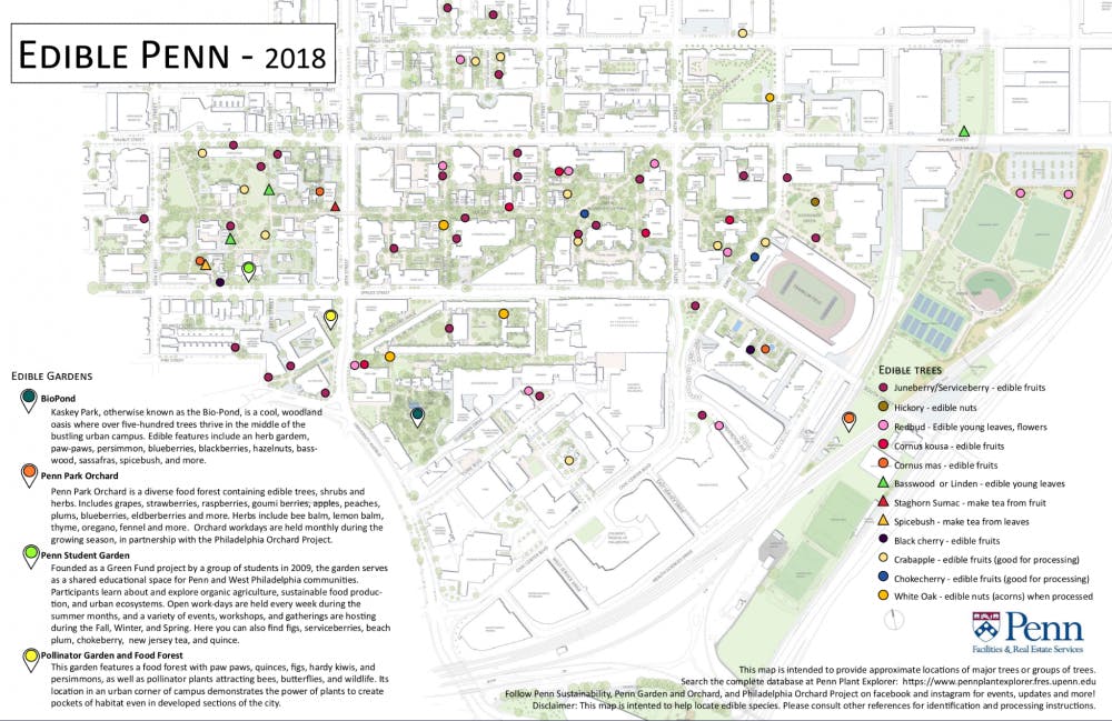 university of pennsylvania campus map There Are Edible Shrubs In The Quad And Along Locust This Penn university of pennsylvania campus map