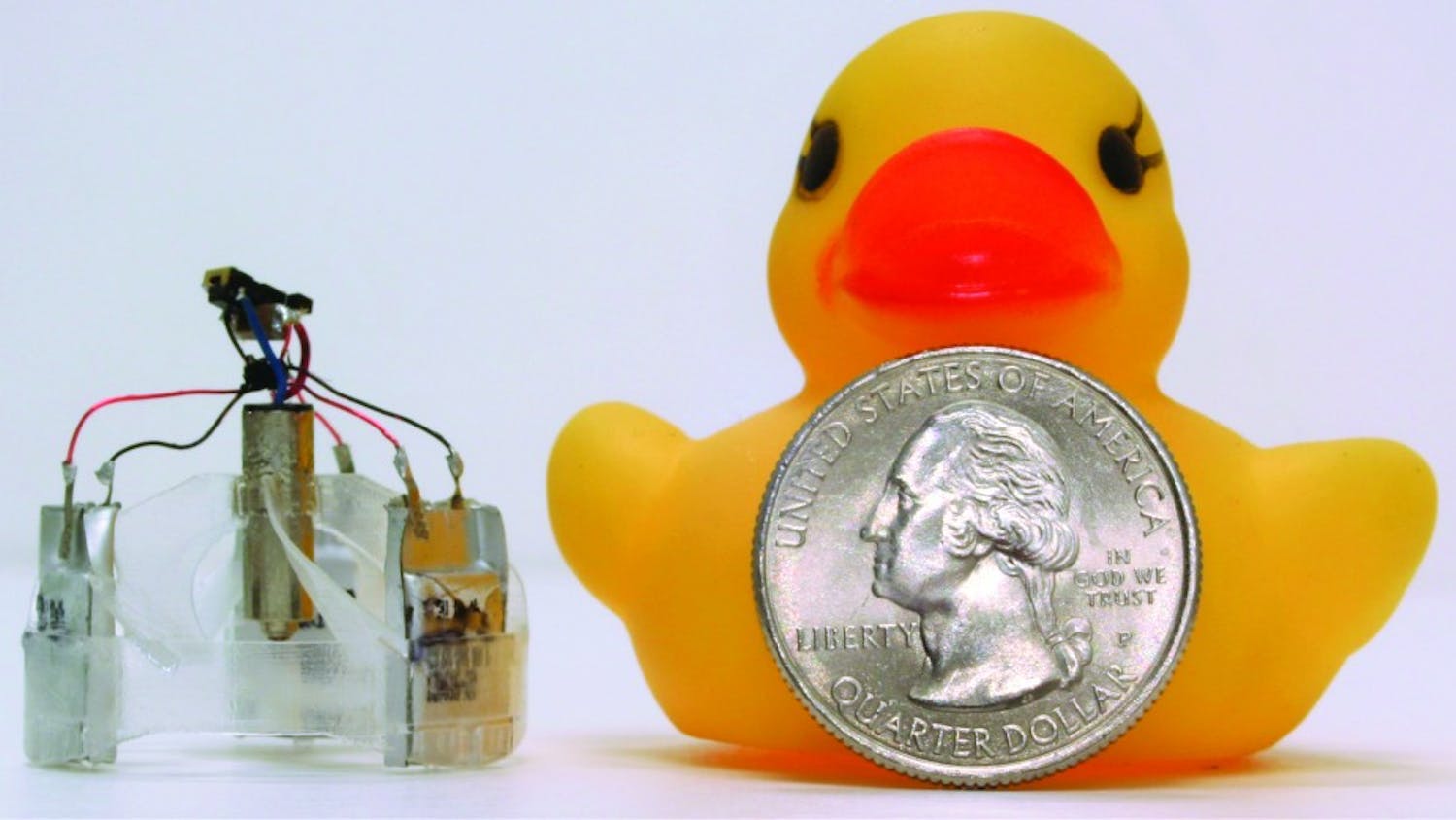 | Courtesy of Matthew Piccoli