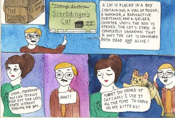 	#7: Schrodinger’s cat
10/8/13