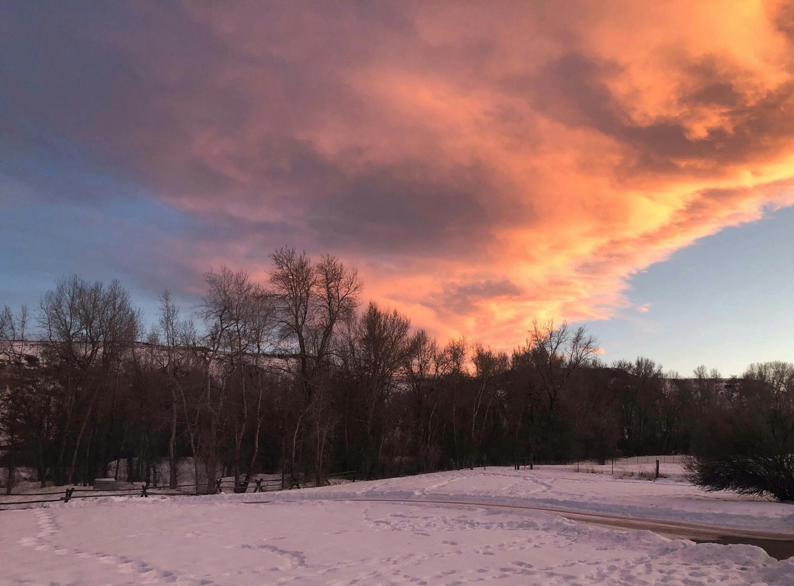 Final Quarantine Photo Essay Noelle Harris.jpg